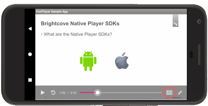 Bildunterschriften-Symbol