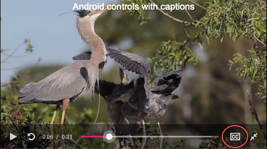 Schaltfläche für Untertitel