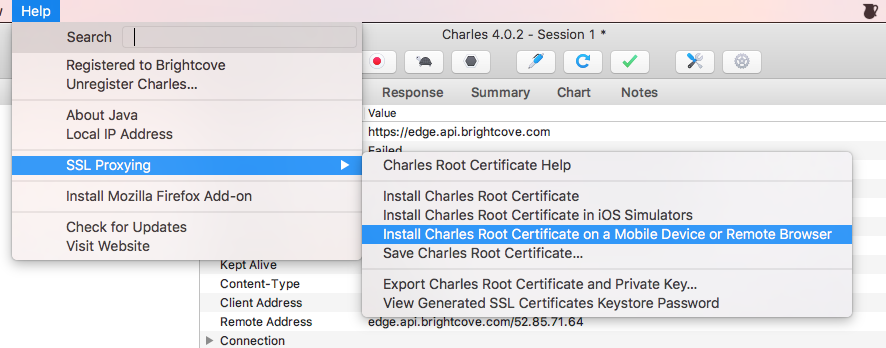 Installieren Sie das Stammzertifikat